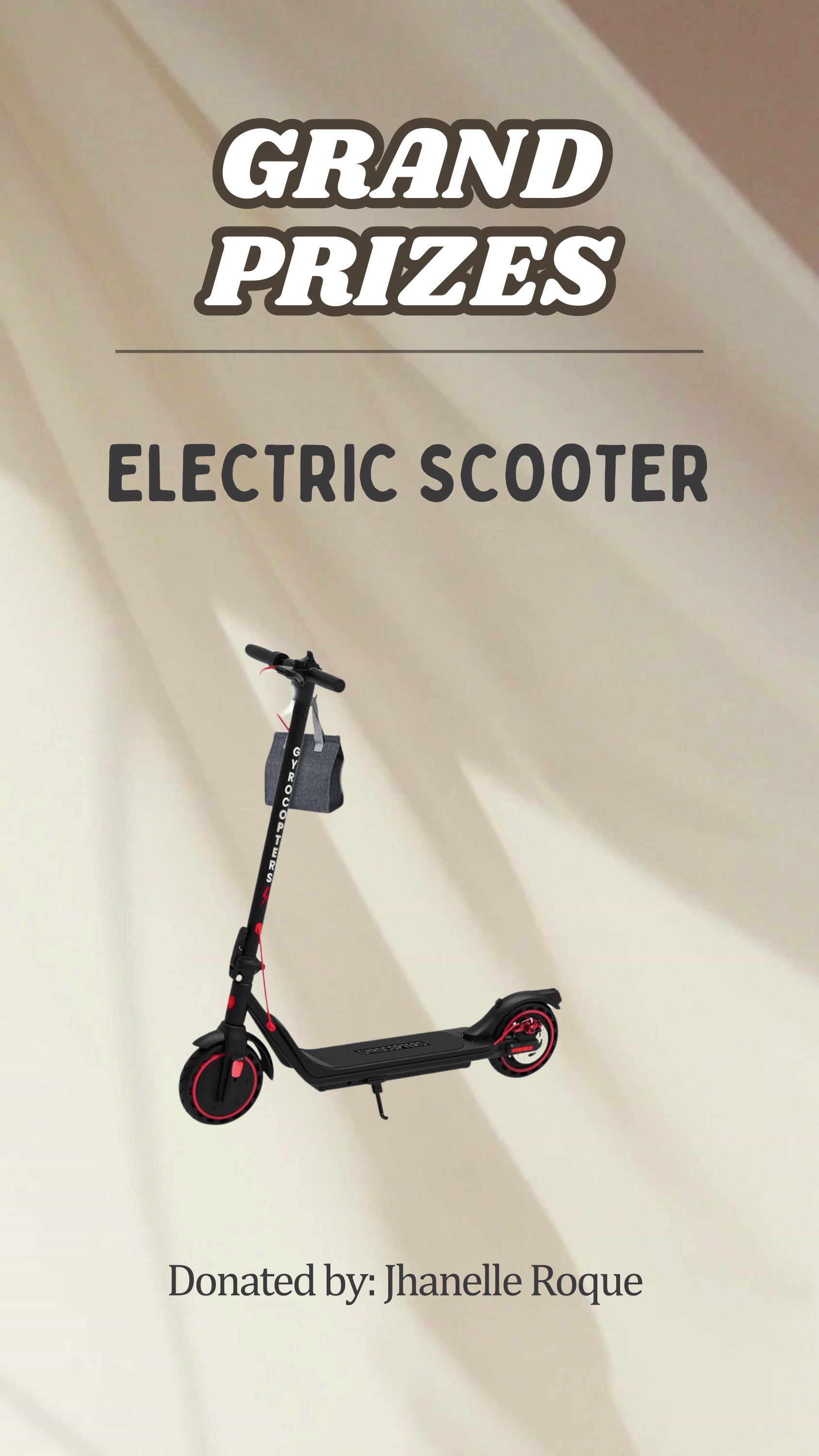 Electric Scooter