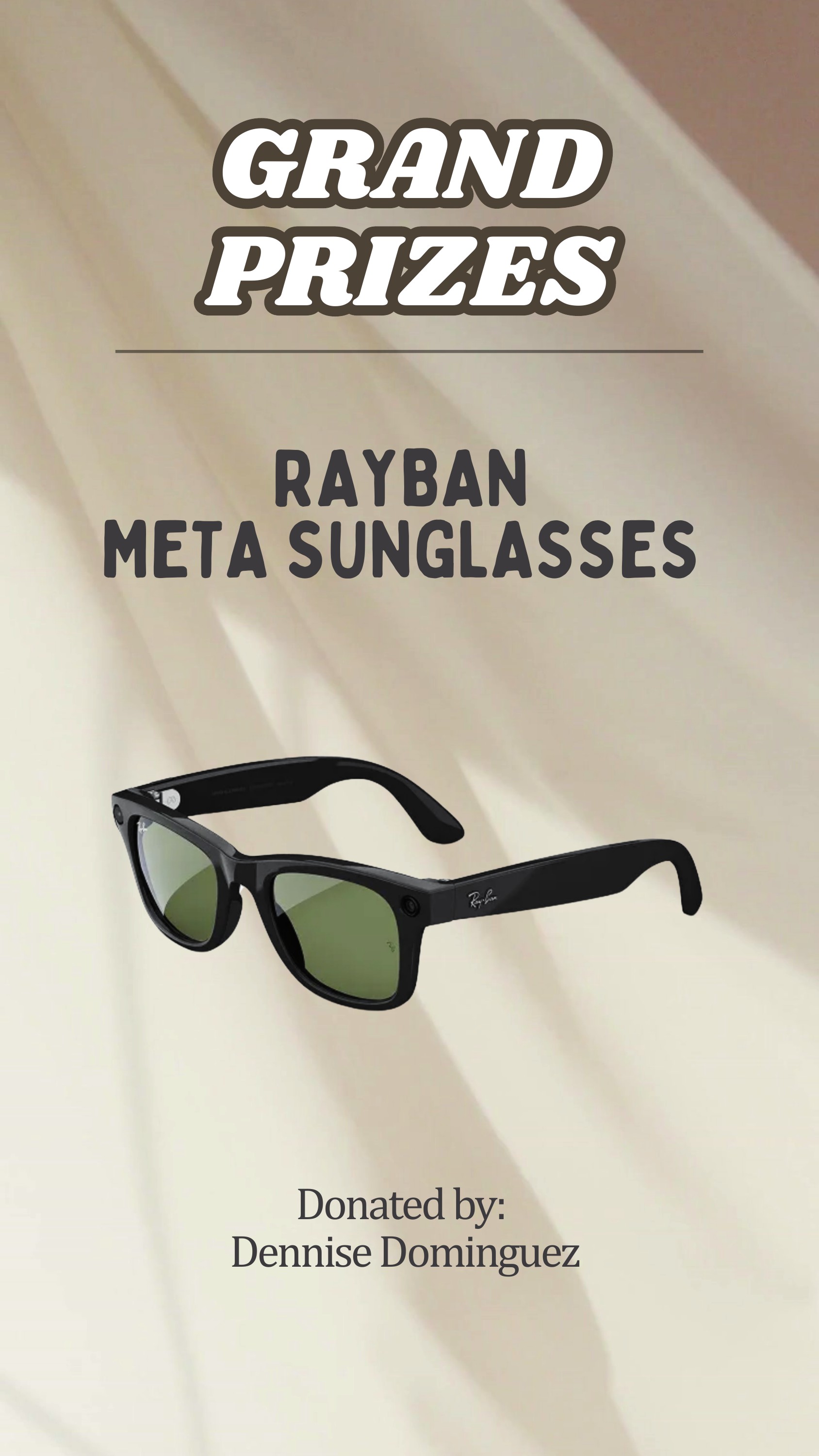 Rayban Meta Sunglasses