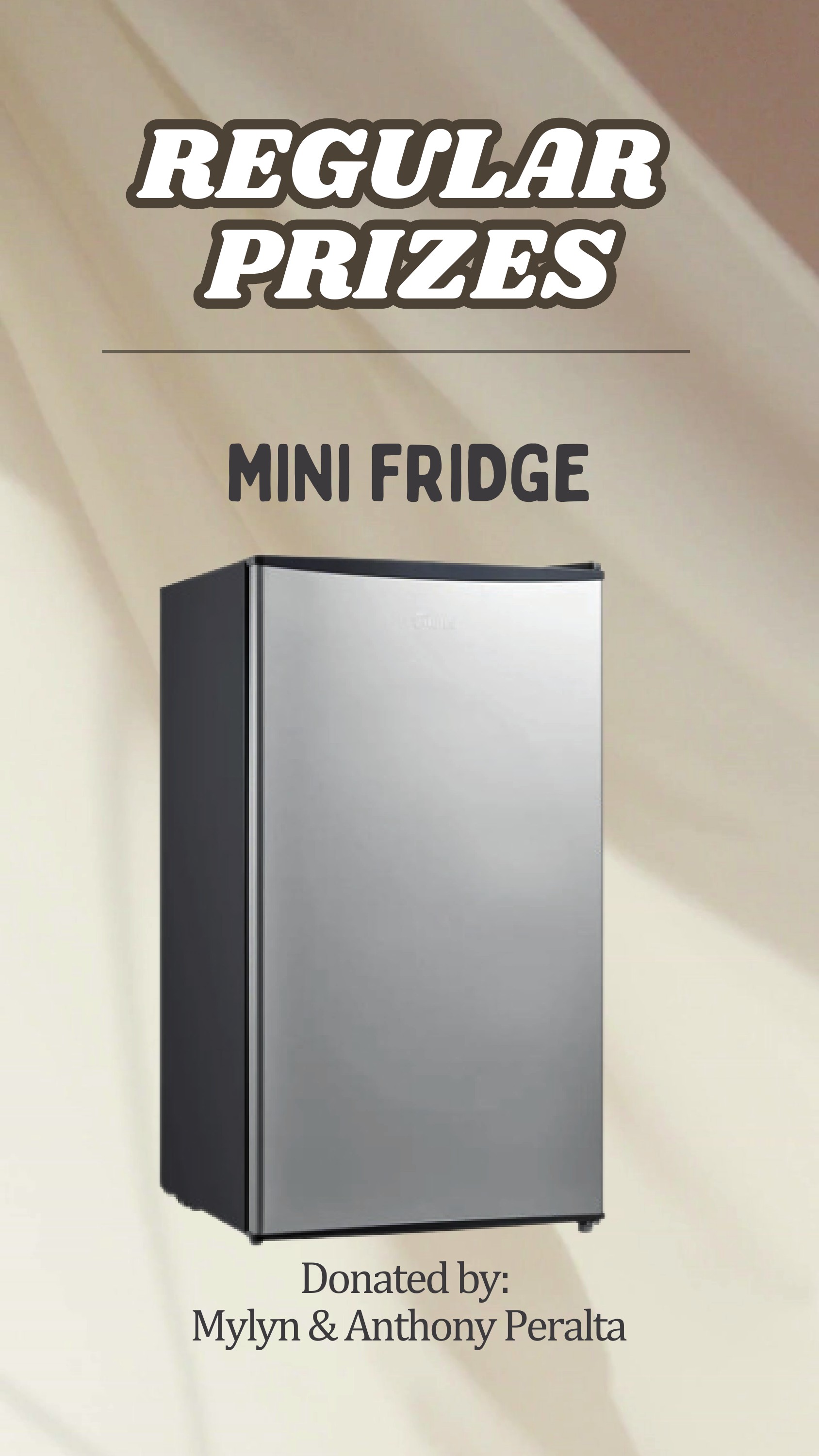 Mini Fridge
